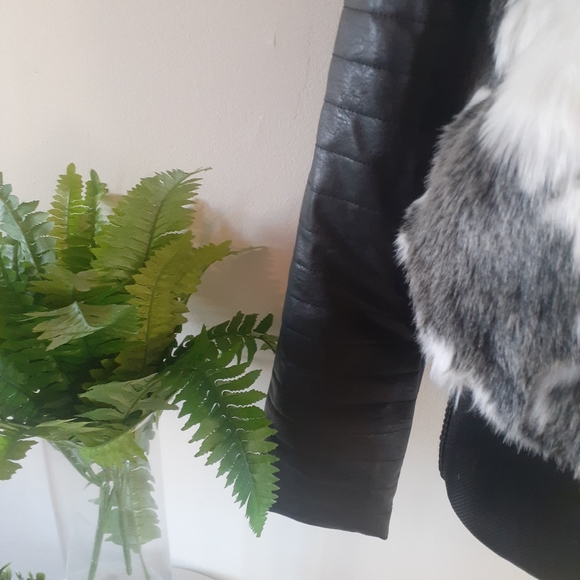 Coat - Picture 3 of 6